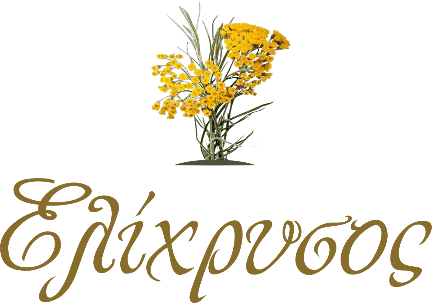 Αντιφλογιστική Κεραλοιφή (κάψιμο από ηλιακή ακτινοβολία)